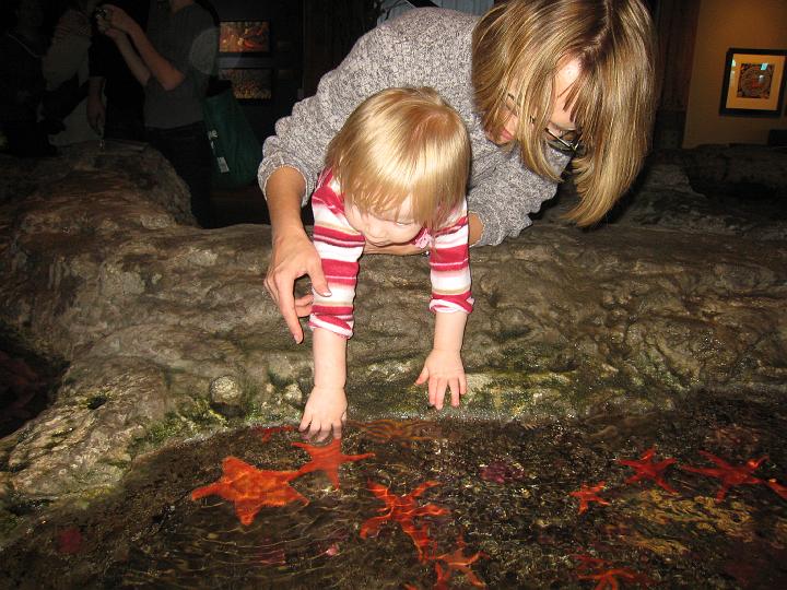 Seattle Aquarium 10.JPG